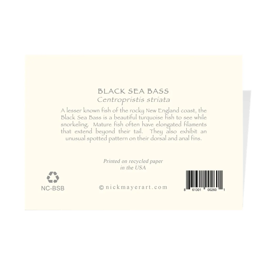Black Sea Bass Notecards