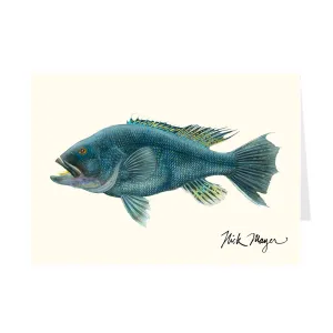 Black Sea Bass Notecards