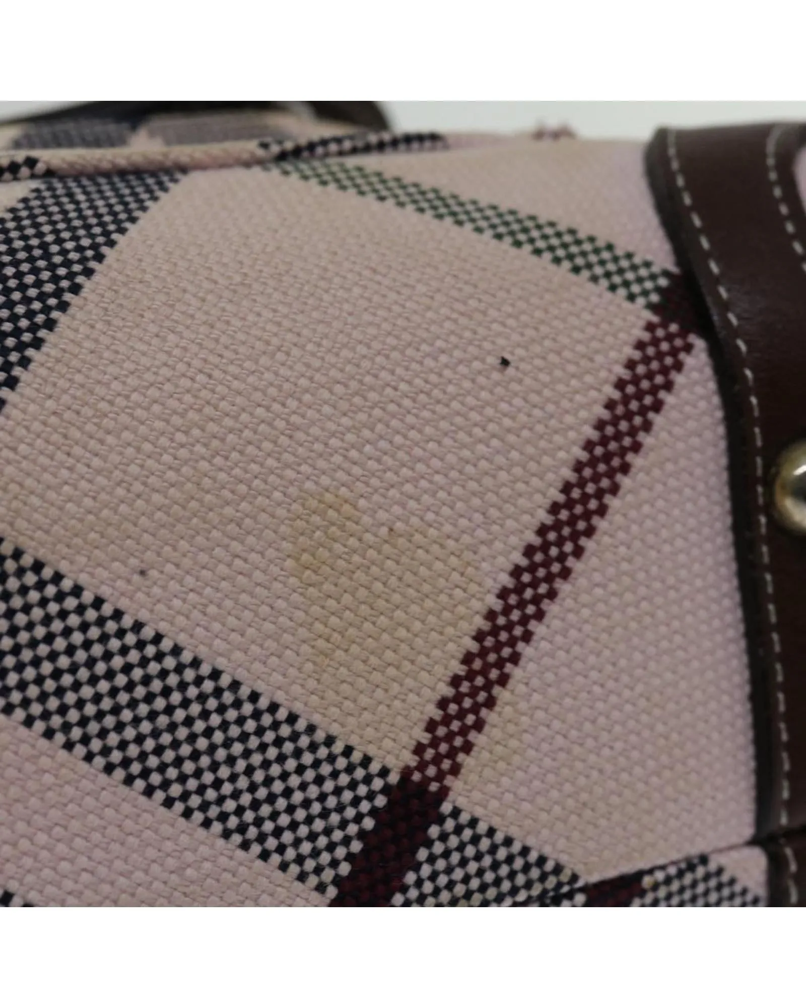 Checkered Canvas Hand Bag in Beige by Luxury Designer