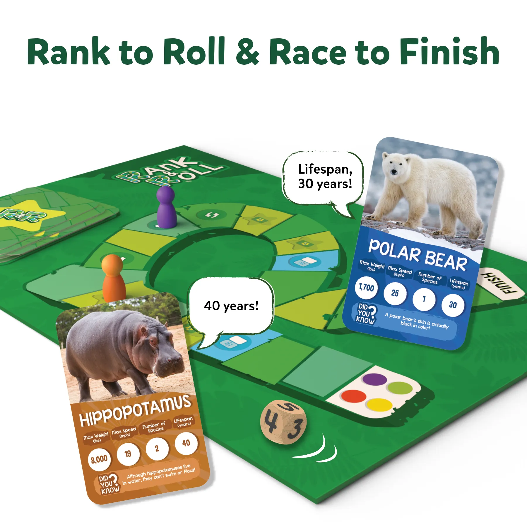 Rank And Roll - Amazing Animals